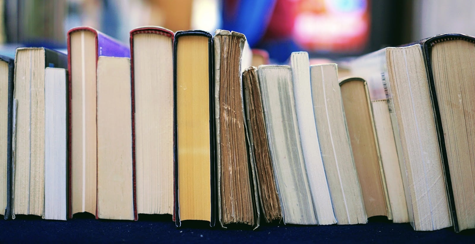 The Best Champagne Books of 2024 Reviews