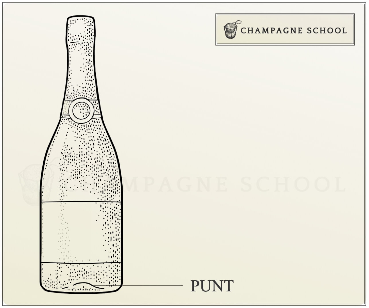 What Are the Parts Of Champagne Bottle? 2024 History