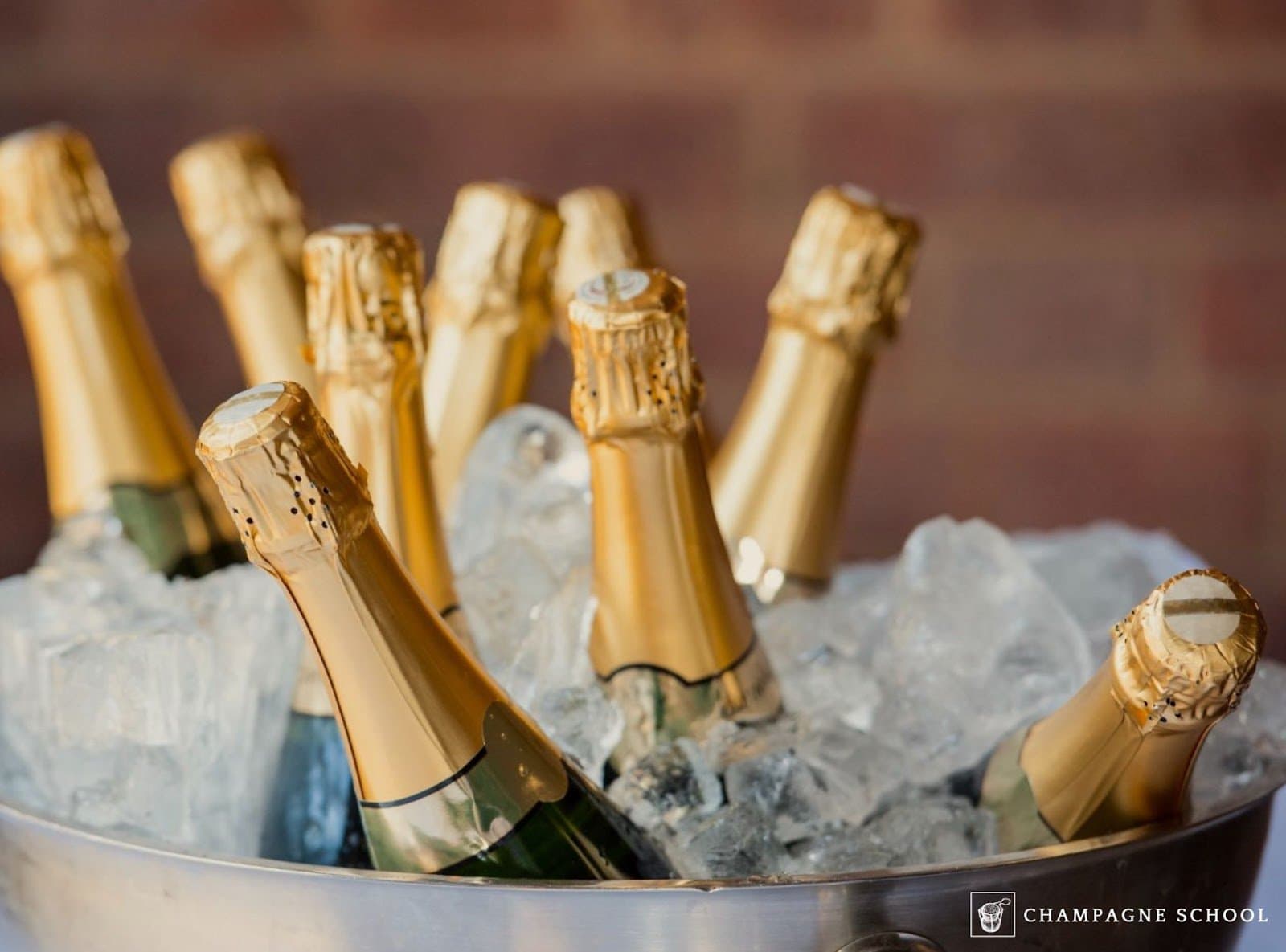 How Many Bottles of Champagne in a Case 2024 Buyers Guide
