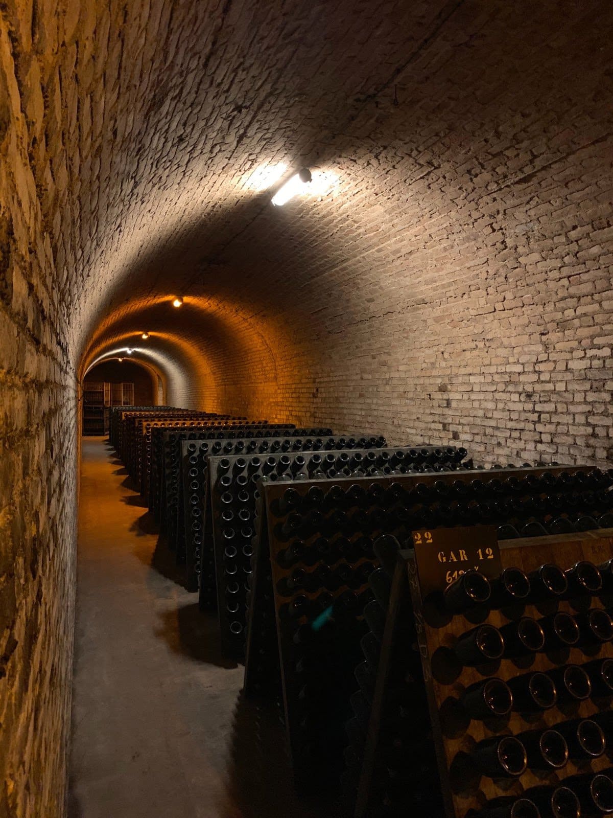 How to Store Champagne 2024 An Essential Guide
