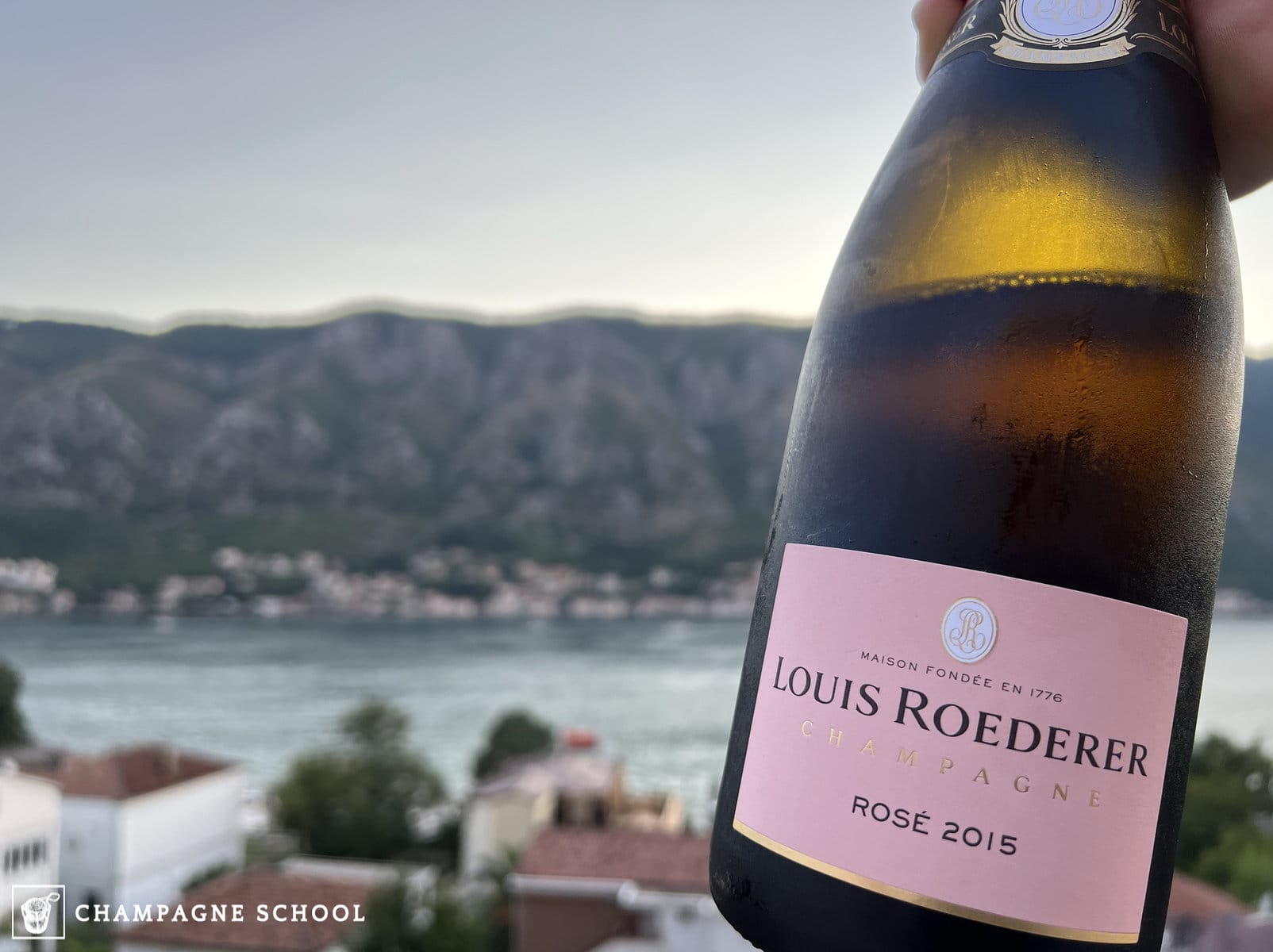 Louis Roederer Overview - 2025